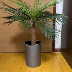 フェイクグリーン　ヤシの木の画像