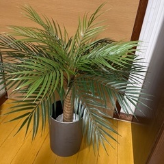 フェイクグリーン　ヤシの木の画像
