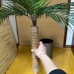 フェイクグリーン　ヤシの木の画像