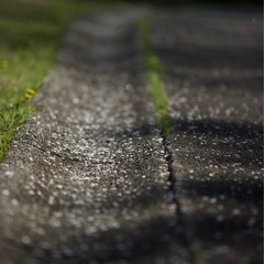 フォトウォーク