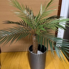 フェイクグリーン　ヤシの木の画像