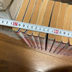 マンガ 漫画 コミック なんて素敵にジャパネスク 全11巻セット 人妻編11巻 全巻セット 白泉社の画像