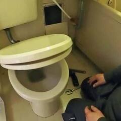 【便座交換】ひび割れ便座の交換と浴室壁点検口パネル修理のご依頼へ行ってきました。 - 地元のお店