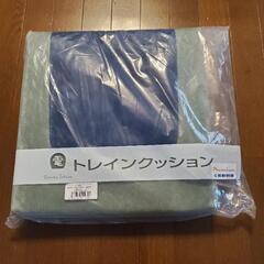 トレインクッションプレミアム 0系新幹線