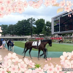 競馬好きとつながりたい！競馬友達募集です😃 - 中野区