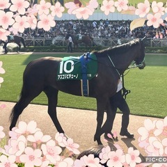 競馬好きとつながりたい！競馬友達募集です😃 - 友達