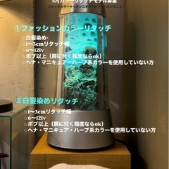ファッションカラーリタッチモデル