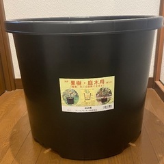 大型プランター