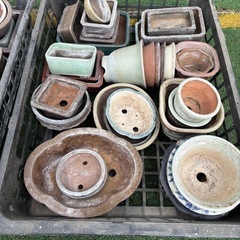 小さな植木鉢150鉢以上の画像