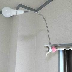 【⭕️ 半額】クリップ式LEDライトLED電球付き│新生活応援