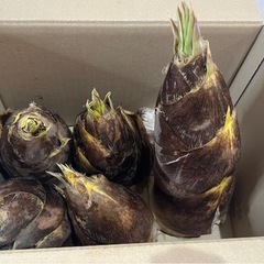 たけのこ　　4名の方にお渡ししました！ありがとうございました！