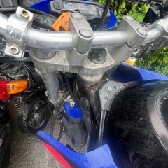 セロー250アニバーサリーの画像