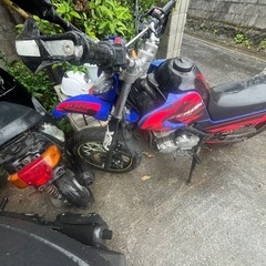セロー250アニバーサリーの画像