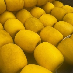 ボンデン、フロート、ペンドル、フェンダーの画像