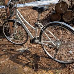 自転車