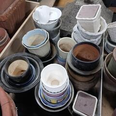 0407 【0円】植木鉢 ① お好きな数お持ち帰り下さいの画像