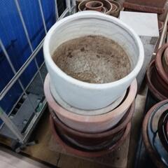 0410【0円】植木鉢 ④ お好きな数お持ち帰り下さいの画像