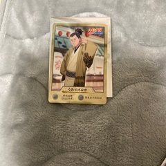 NARUTO 淡路島ニンゲンノモリ