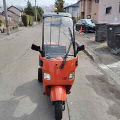 希少2ストミニカー登録車