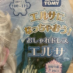おしゃれドレス　エルサの画像