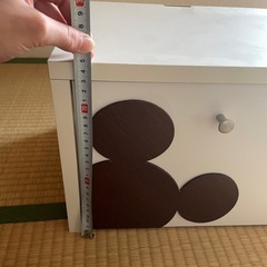 ミッキールーター収納の画像