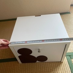 ミッキールーター収納の画像