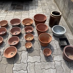 【無料】鉢各種