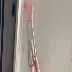 かなヘイのガチャで当てたの掃除機　決まりましたの画像