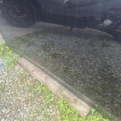 SAI前期助手席フロントドアの画像