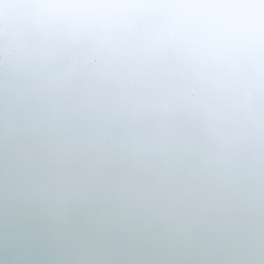 春ですね！