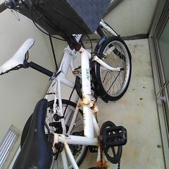 自転車2台の画像