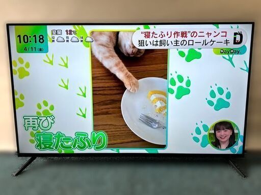 自社配送は札幌市内限定】GREEN HOUSE/グリーンハウス 50型液晶テレビ