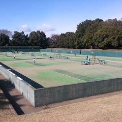 硬式テニスやりましょう！