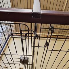 ドック ケージの画像