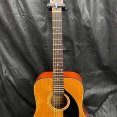 Aria  12W120 12弦アコースティックギター