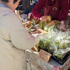 4月25日締切「第8回池上日和（マルシェ）」への出店者様を募集しています - 地域/お祭り