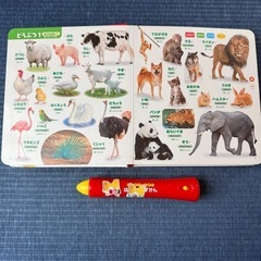はじめてのずかん900の画像
