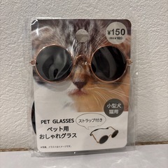 【多数出品中】ペット用おしゃれグラス