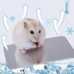 小動物冷感パット