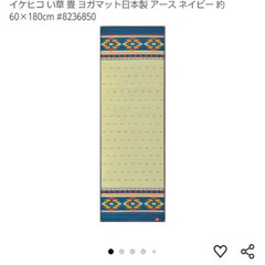 イケヒコ　い草　畳　ヨガマット