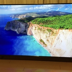 パナソニック　液晶テレビ　TV−50W80A（2024年製) 近...