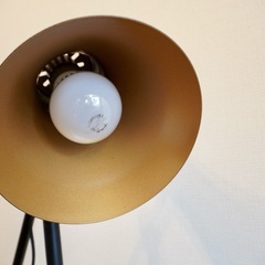 スタンドライト LED電球対応 角度調節可能 ヴィンテージ調 スチールの画像