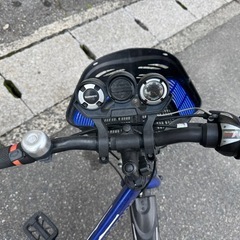 美品‼️　ブリジストン　20インチ　子供用自転車の画像
