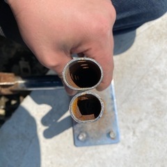 ゾウッパナステーの画像