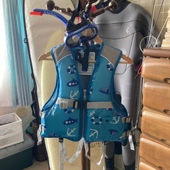 ライフジャケットとシュノーケル