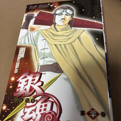 銀魂　第二十巻　‘夏休みは始まる前が一番楽しい’　空知英秋　ジャンプ・コミックス　（集英社）の画像