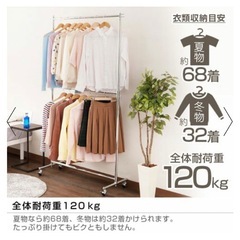 ハンガーラック 幅100cm 2段 高耐荷重 頑丈 幅100.5×奥行42×高さ111-184cm HPS2-100CRの画像