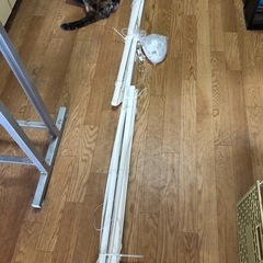 ニトリ ブラインド 5041 1の画像