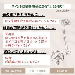 🔰者さん歓迎☆7/29火曜日　14時～開催！✨体験付き1Day講座【頭蓋骨調整】★脳疲労・睡眠の質★ヘッドケアの画像
