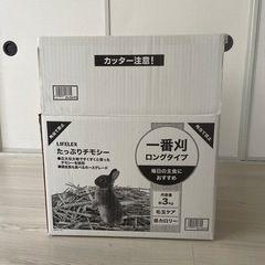 ウサギ　牧草